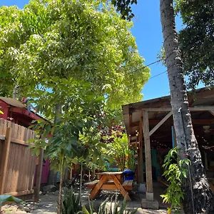 https://hostel-banana-bungalow-maui.hotelsinhawaii.org